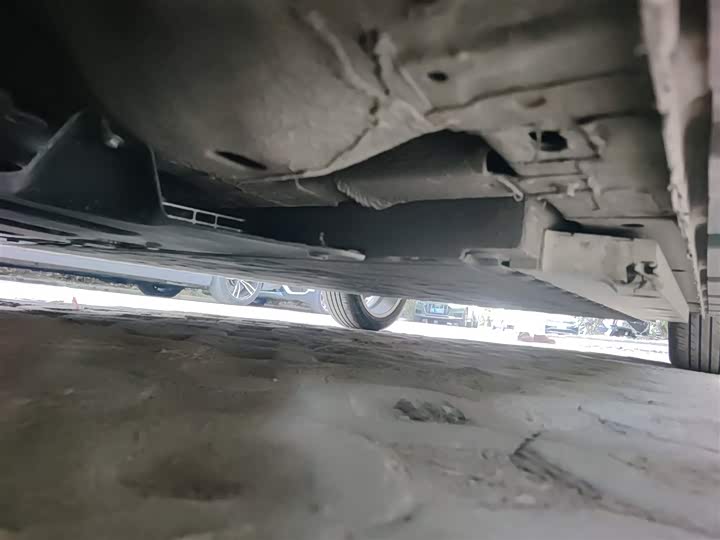 Фото 19 - Ora Good Cat (03)