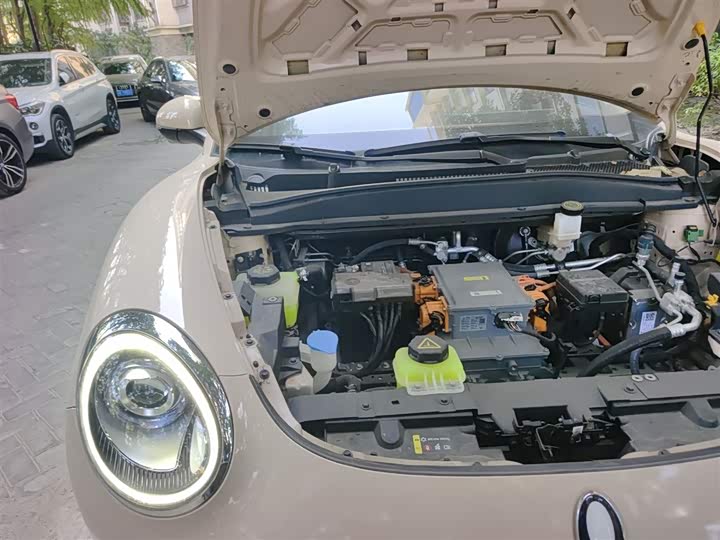 Фото 21 - Ora Good Cat (03)