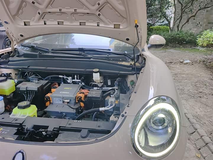 Фото 22 - Ora Good Cat (03)