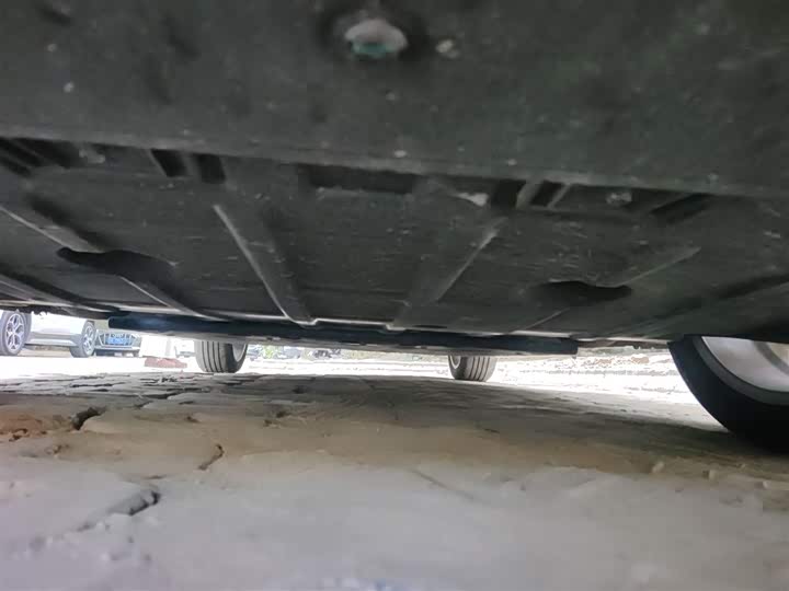 Фото 23 - Ora Good Cat (03)