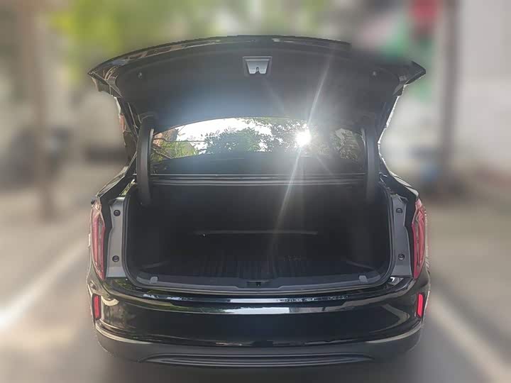 Фото 10 - Hongqi E-QM5