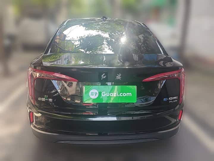 Фото 28 - Hongqi E-QM5