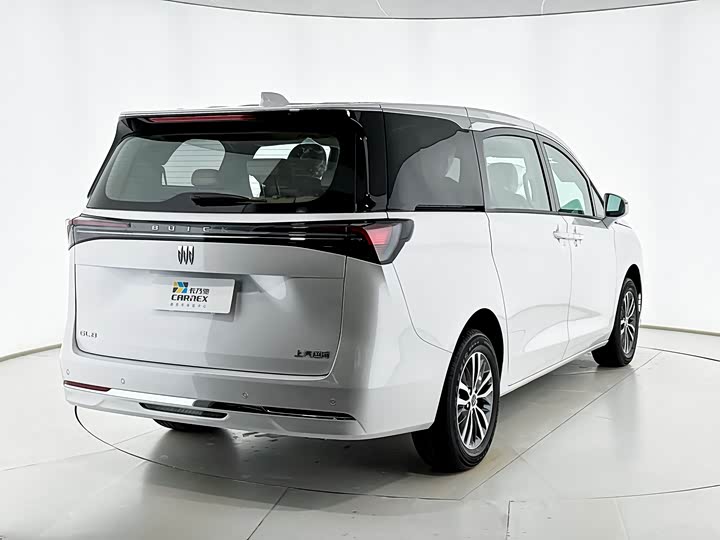 Фото 14 - Buick GL8 ES