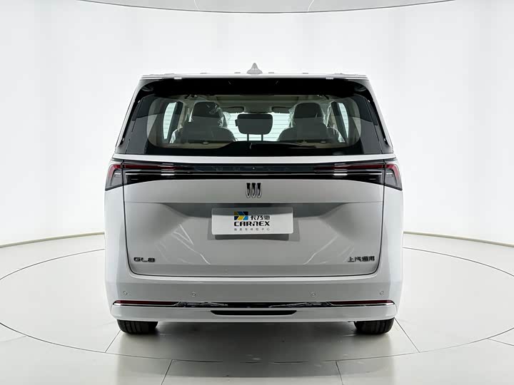 Фото 4 - Buick GL8 ES