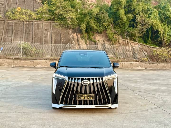 Фото 2 - GAC Trumpchi M8