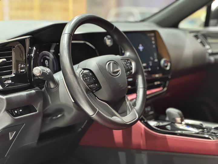 Фото 10 - Lexus NX