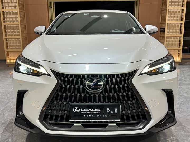 Фото 2 - Lexus NX
