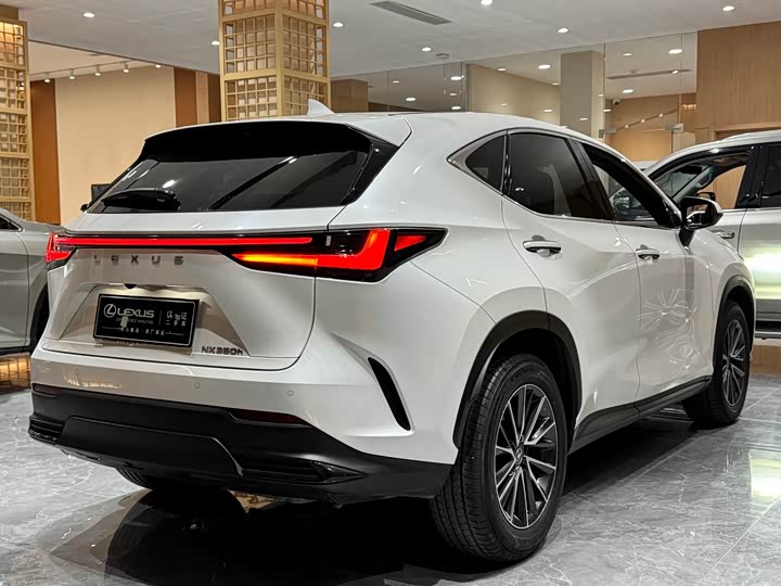 Фото 6 - Lexus NX