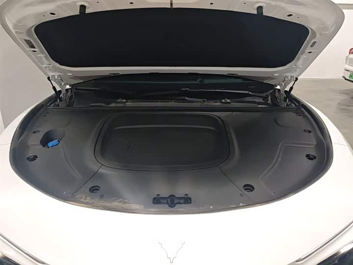 Фото 20 - Hozon S Hunting