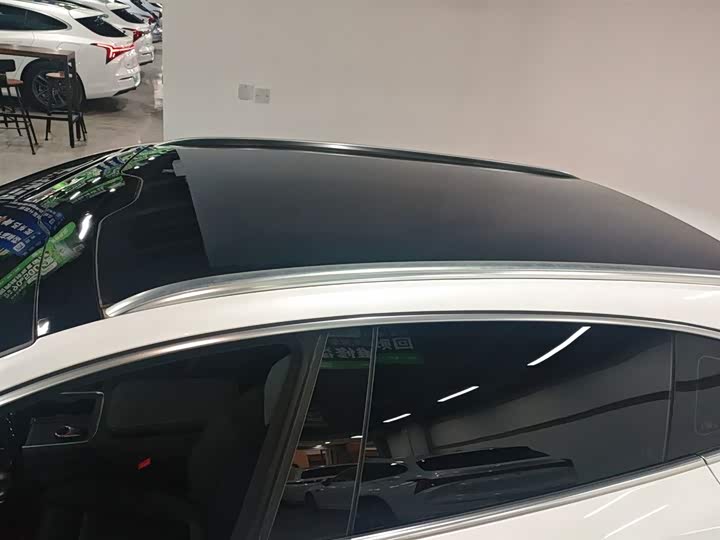 Фото 27 - Hozon S Hunting