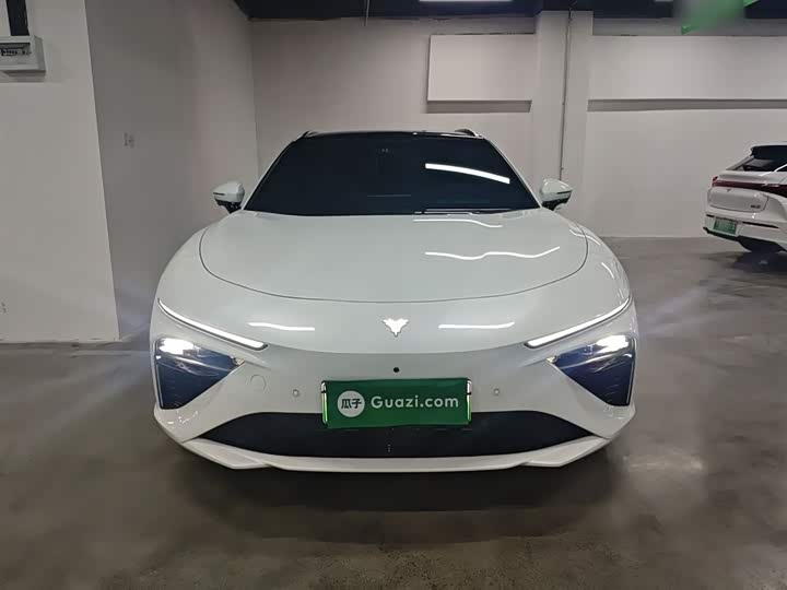 Фото 3 - Hozon S Hunting