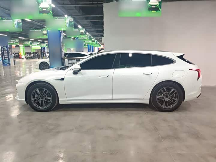 Фото 5 - Hozon S Hunting