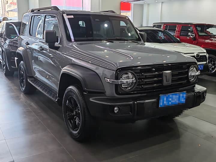 Фото 3 - Tank 300