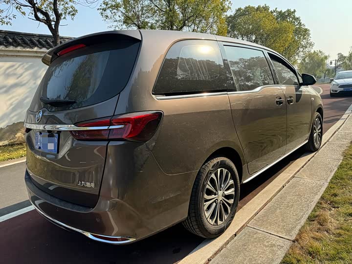 Фото 5 - Buick GL8 ES