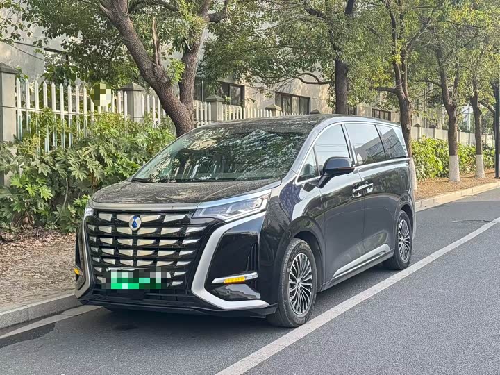 Фото 1 - Denza D9