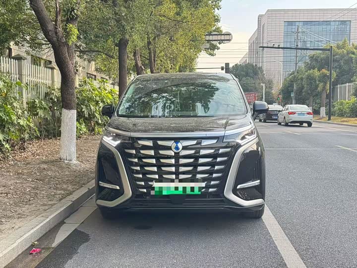 Фото 2 - Denza D9