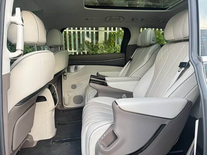 Фото 6 - Denza D9