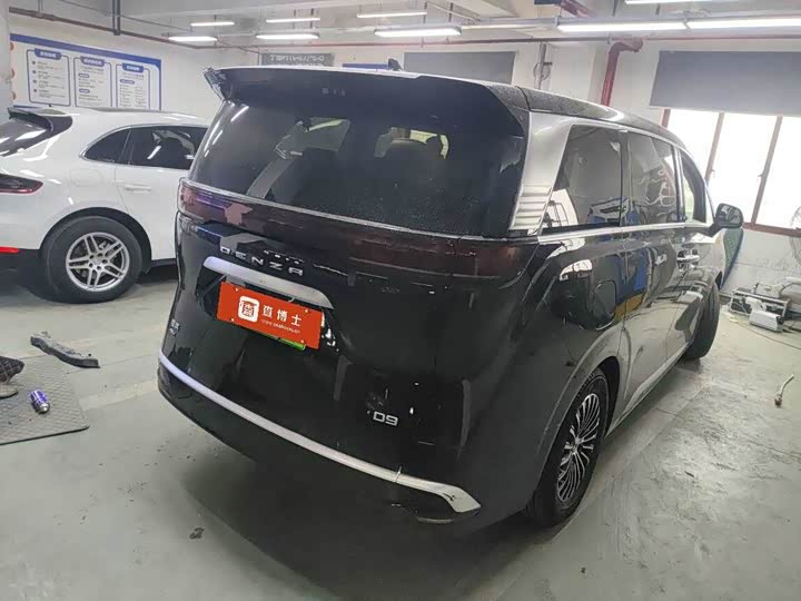 Фото 9 - Denza D9