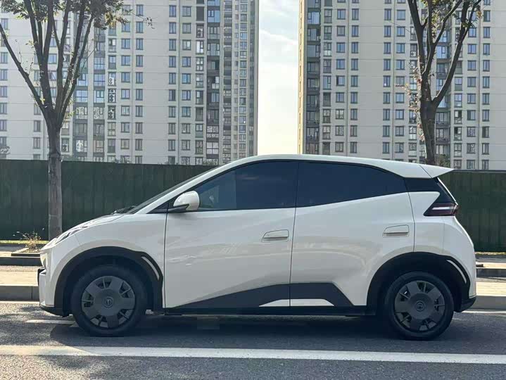 Фото 2 - BYD Seagull