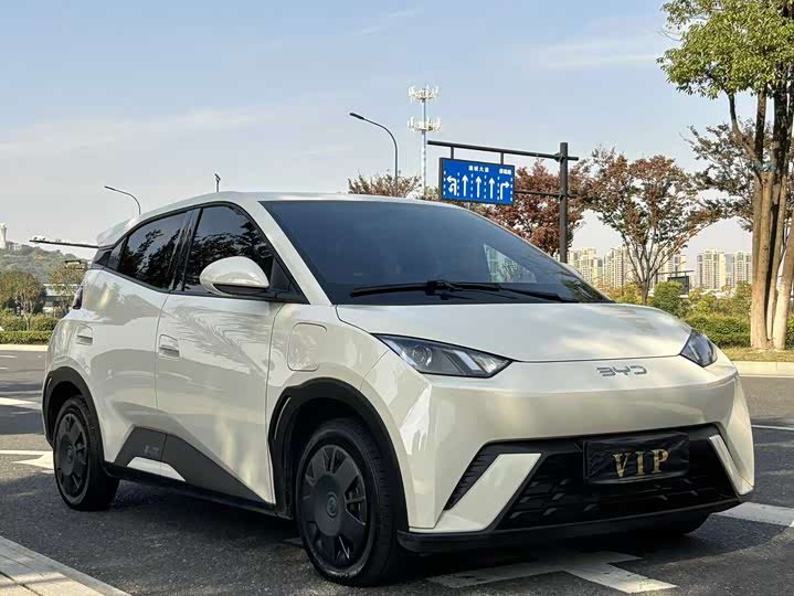 Фото 3 - BYD Seagull