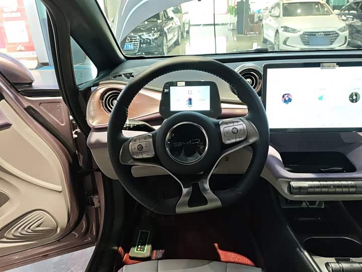 Фото 11 - BYD Dolphin