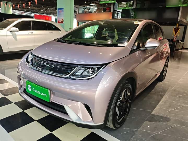 Фото 2 - BYD Dolphin