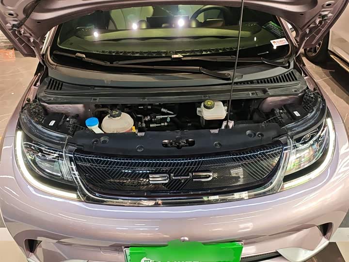 Фото 20 - BYD Dolphin