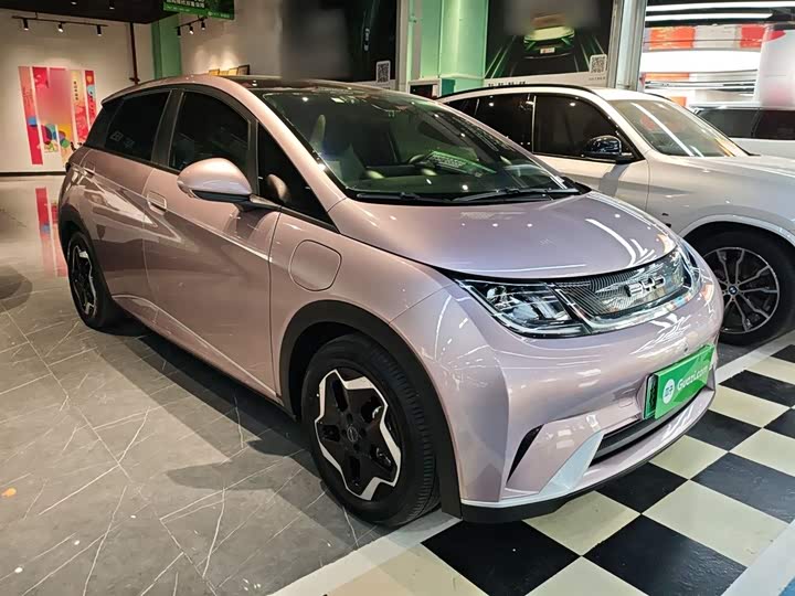 Фото 4 - BYD Dolphin