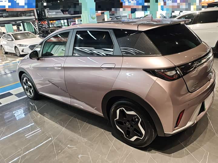 Фото 5 - BYD Dolphin