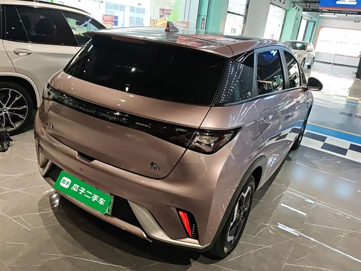 Фото 7 - BYD Dolphin