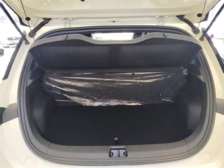 Фото 19 - BYD Dolphin