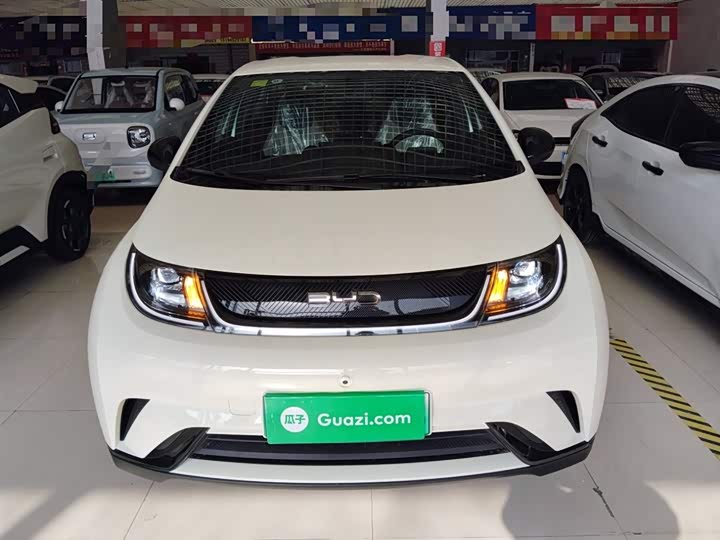 Фото 3 - BYD Dolphin