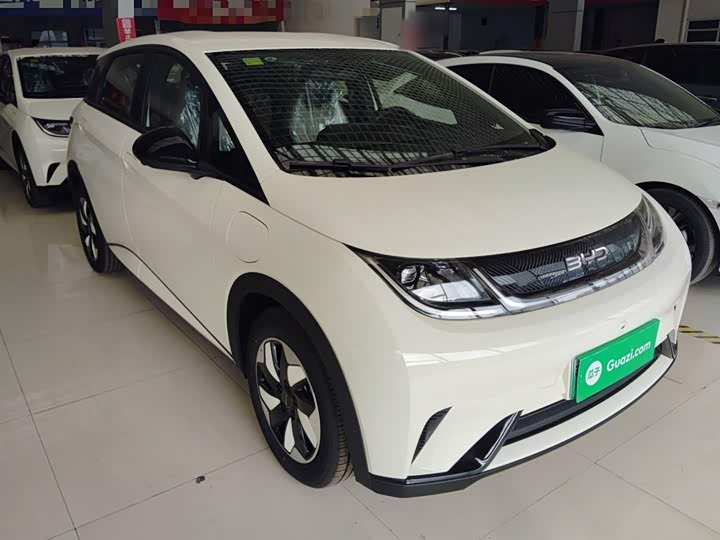 Фото 4 - BYD Dolphin