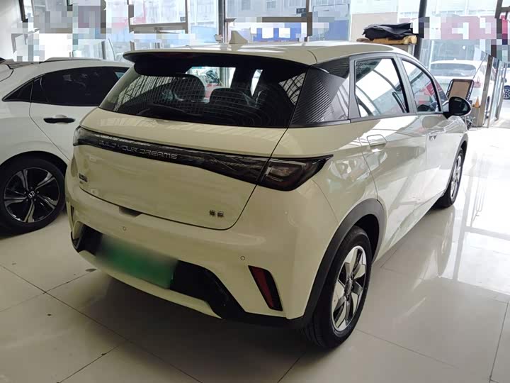 Фото 7 - BYD Dolphin