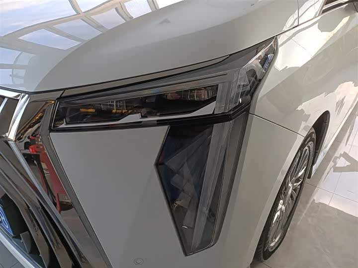 Фото 24 - GAC Trumpchi M8