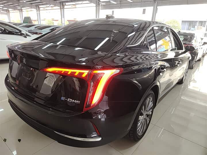 Фото 7 - Hongqi E-QM5