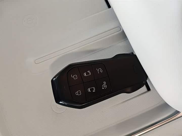 Фото 9 - XPeng X9