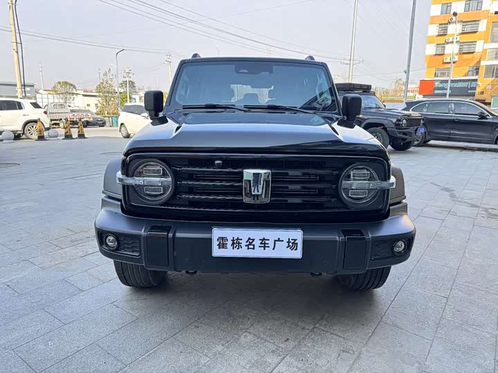 Фото 2 - Tank 300