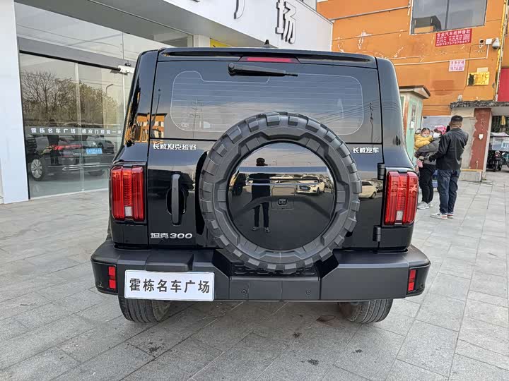 Фото 5 - Tank 300