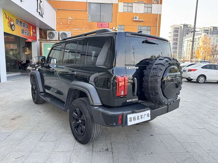 Фото 6 - Tank 300