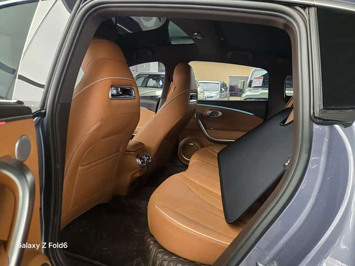 Фото 7 - Ora Lightning Cat (07)