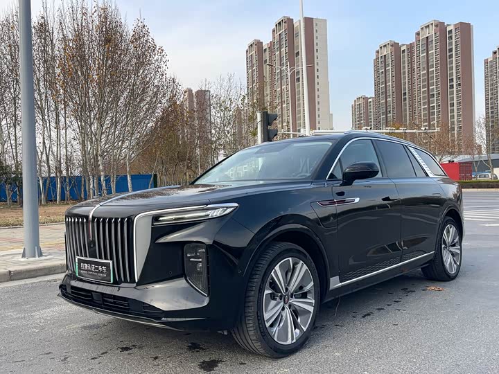 Фото 1 - Hongqi E-HS9