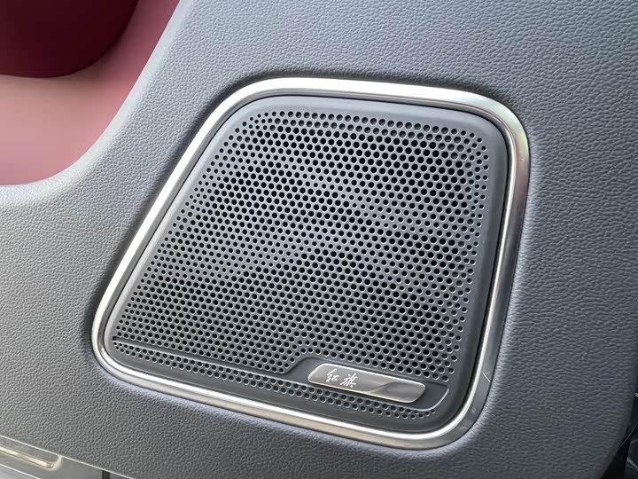 Фото 11 - Hongqi E-HS9