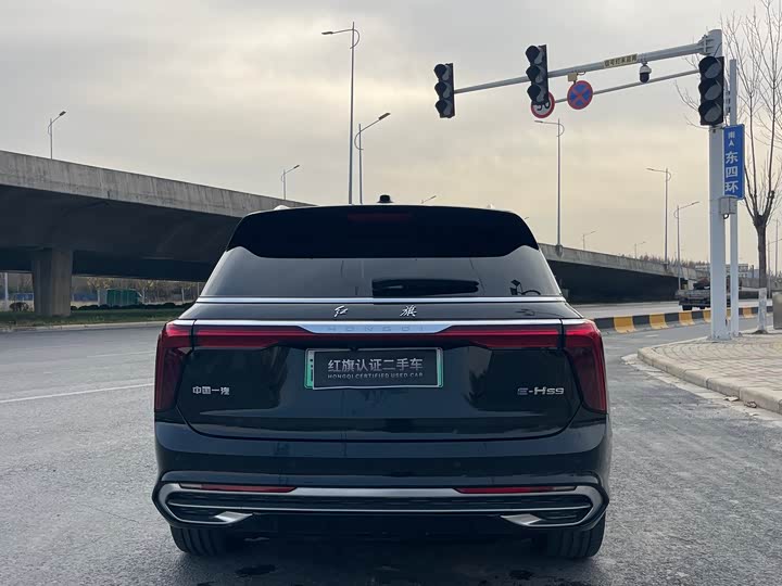 Фото 13 - Hongqi E-HS9