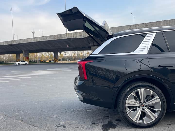 Фото 19 - Hongqi E-HS9