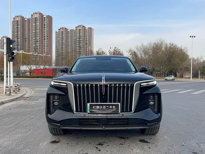 Фото 2 - Hongqi E-HS9