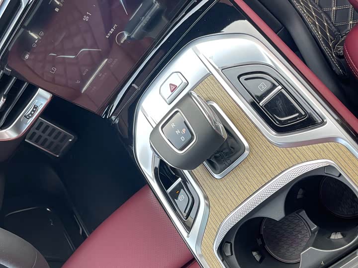 Фото 29 - Hongqi E-HS9