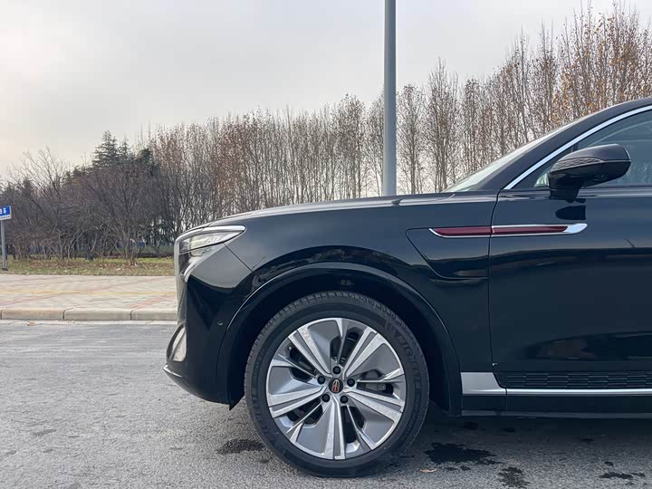 Фото 31 - Hongqi E-HS9