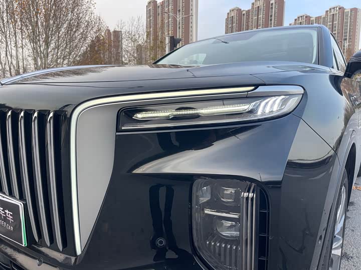 Фото 32 - Hongqi E-HS9