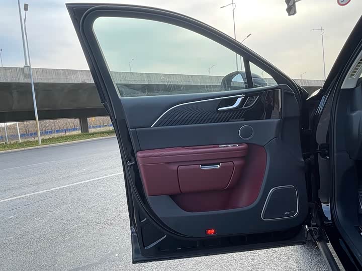 Фото 6 - Hongqi E-HS9